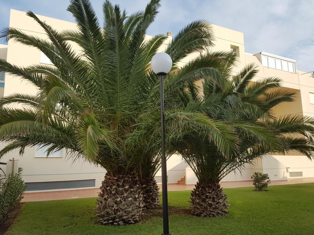 Appartamento Alondras Playa Dénia Esterno foto